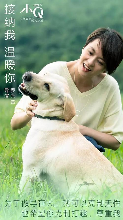 假中专证书制作